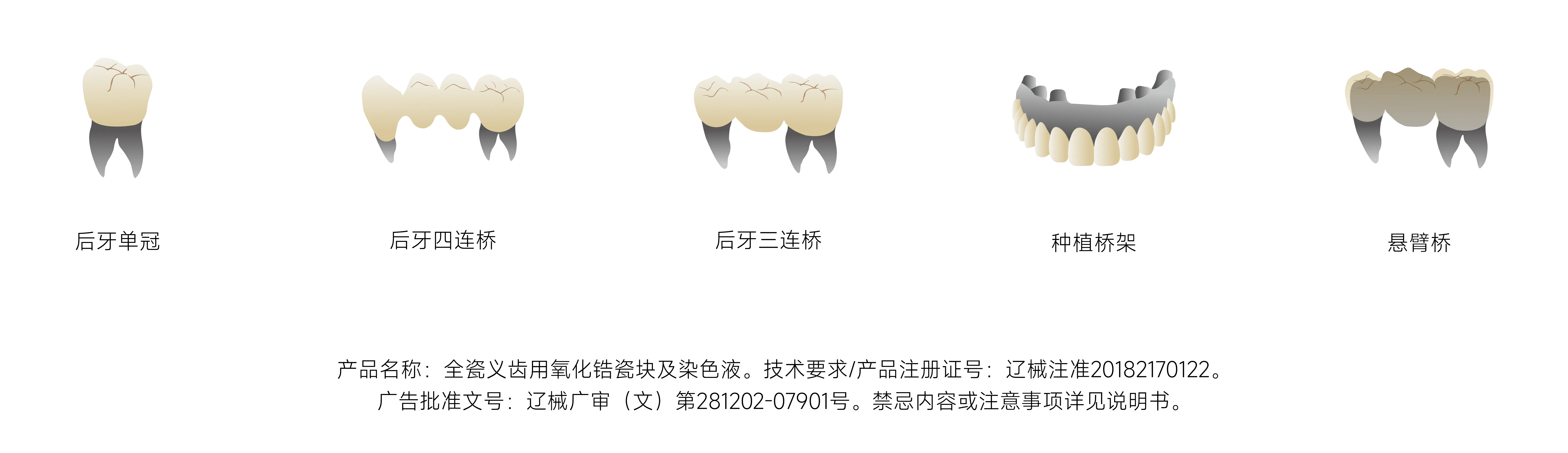 瓷倍健ST_画板 1 副本 3.webp