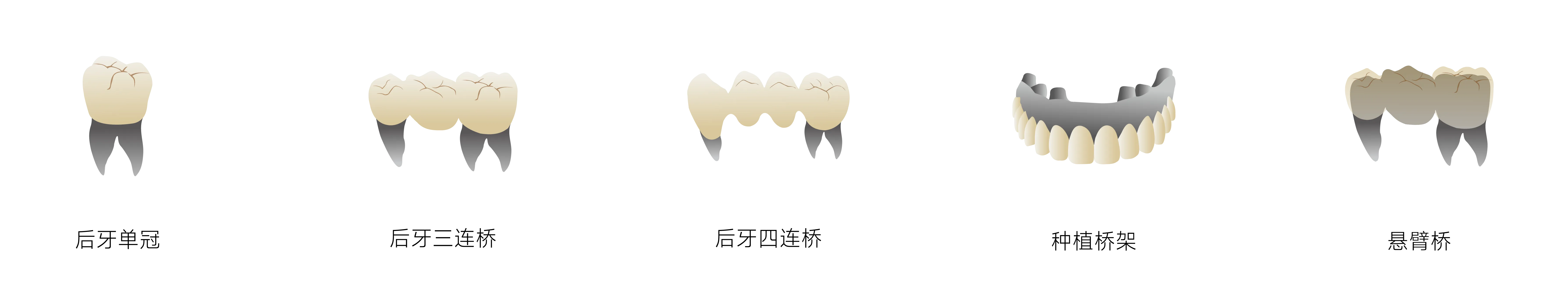 瓷倍健ST-ML_画板 1 副本 3.webp