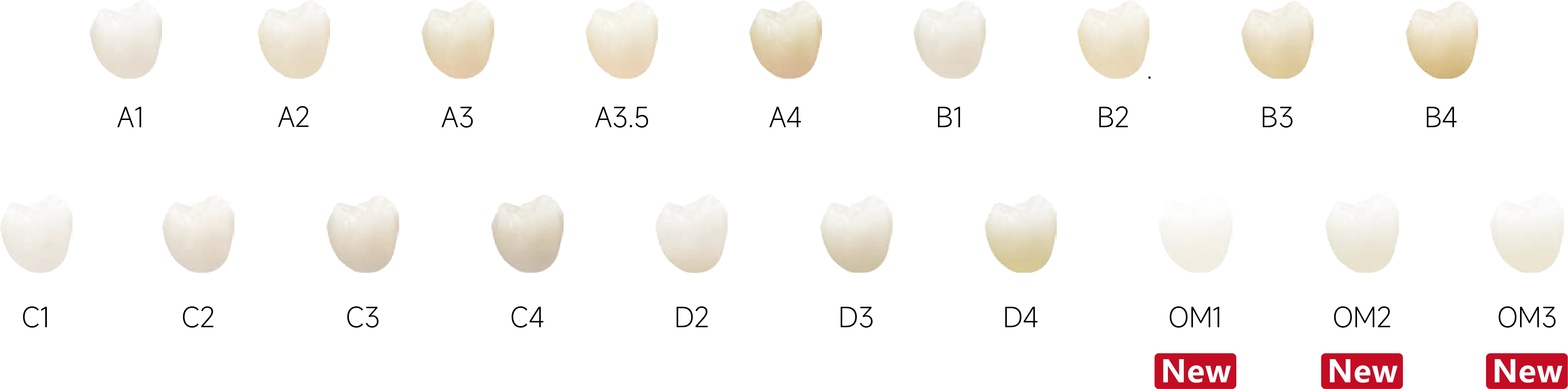 瓷倍健ST-COLOR_4.webp
